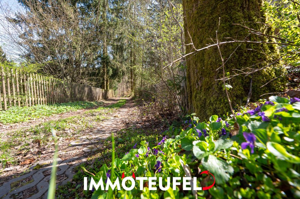 Freizeitgrundstück in Chemnitz-Einsiedel – Ihr idyllischer Rückzugsort im Grünen, naturnah gelegen – Bild 19