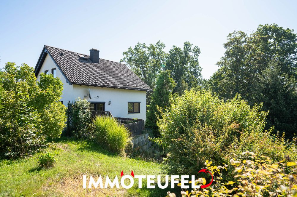 Familienglück in Dittmannsdorf: Haus mit Garten, Kamin und flexiblem Hobbyzimmer für Groß und Klein – Bild 1